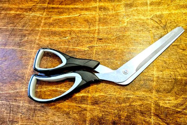 Pizza Scissors Review